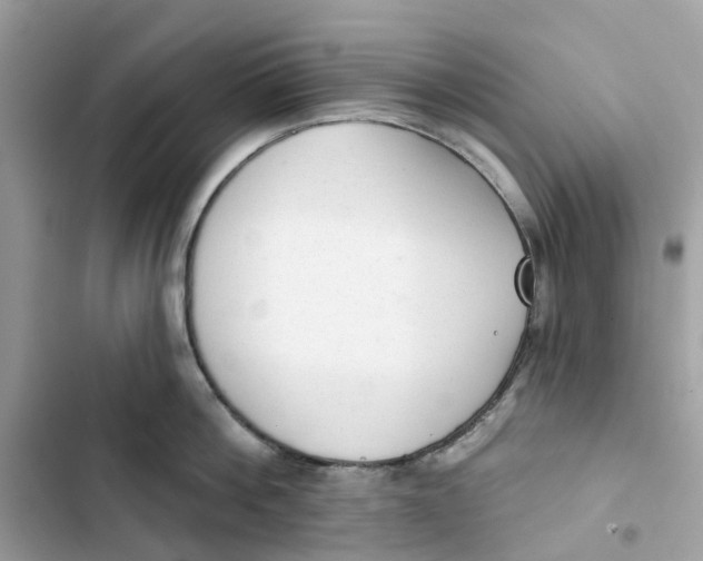 X0000103280812200809191804