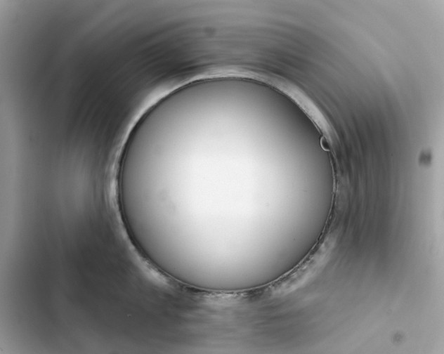 X0000103280813200809191804