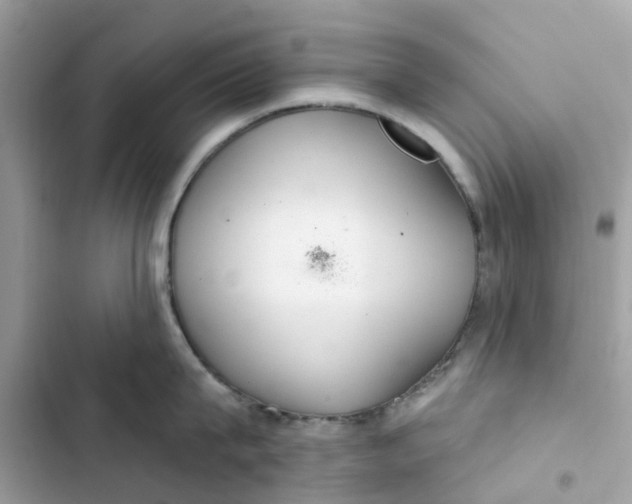 X0000103280815200809191804