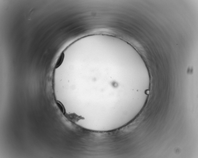 X0000103280816200809191804