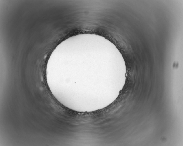 X0000103280817200809191804