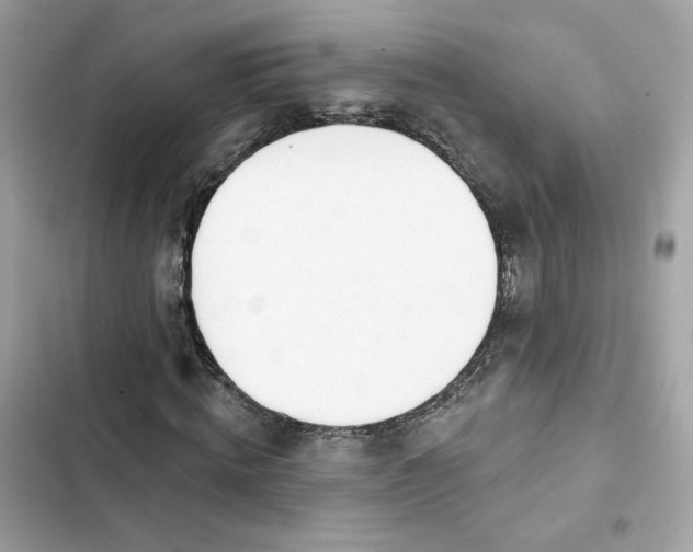 X0000103280820200809191804