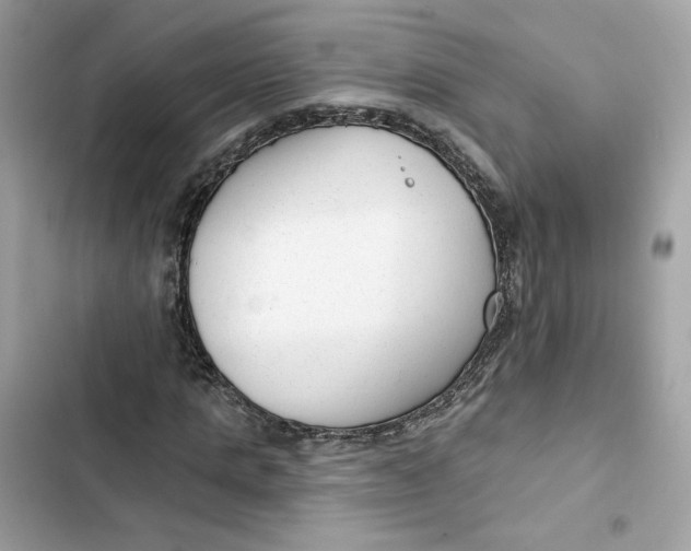 X0000103280821200809191804