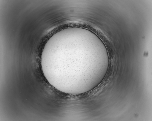 X0000103280822200809191804