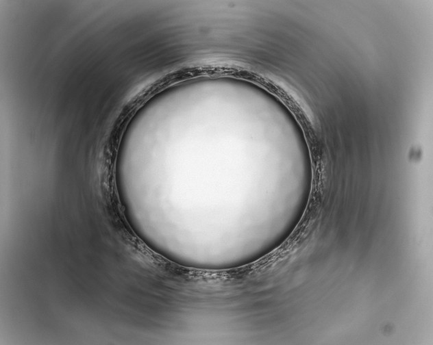 X0000103280823200809191804