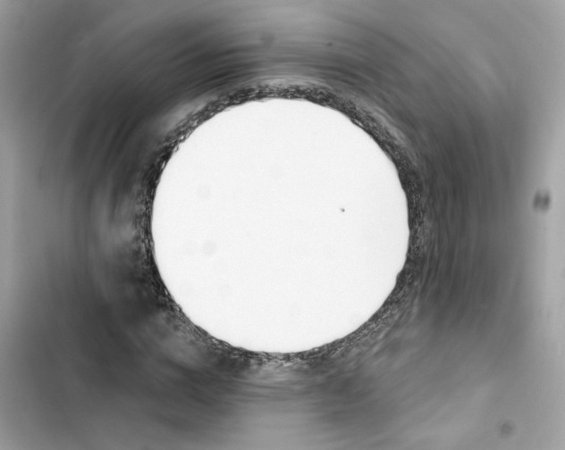 X0000103280824200809191804