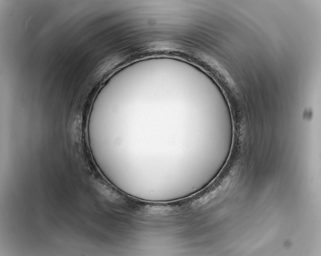 X0000103280825200809191804