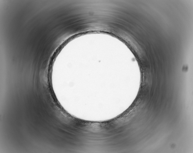 X0000103280828200809191804