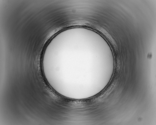 X0000103280834200809191804