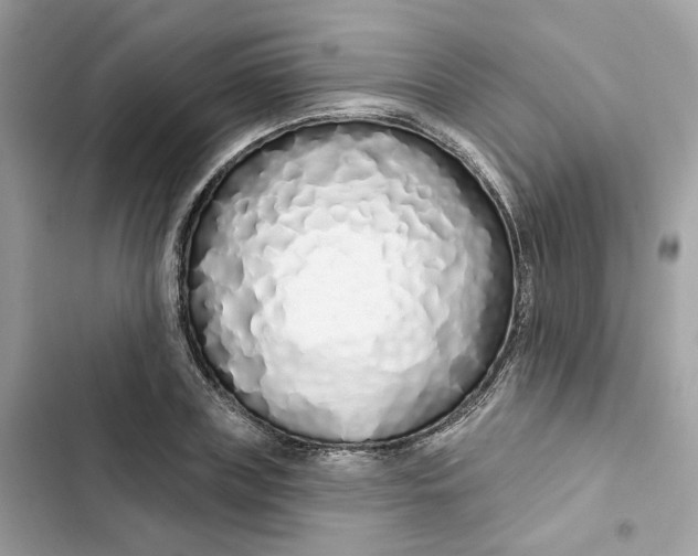 X0000103280835200809191804