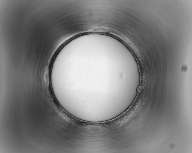 X0000103280838200809191804