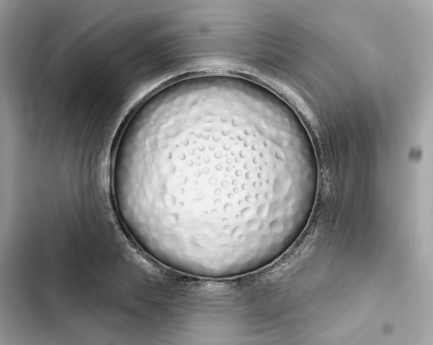 X0000103280839200809191804