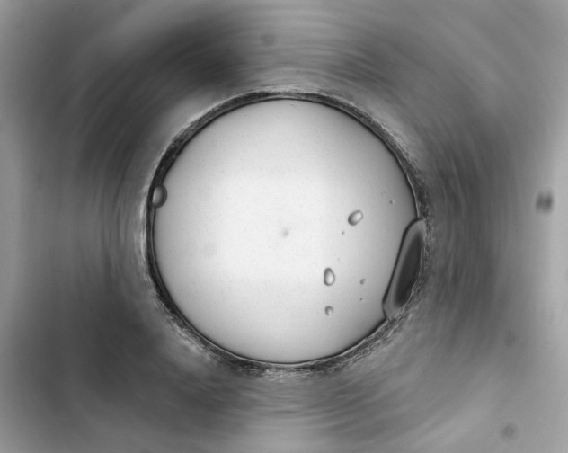 X0000103280840200809191804