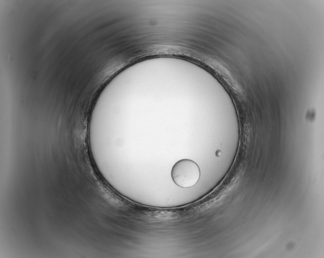 X0000103280841200809191804