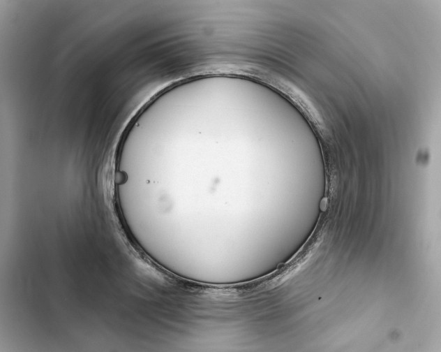 X0000103280844200809191804