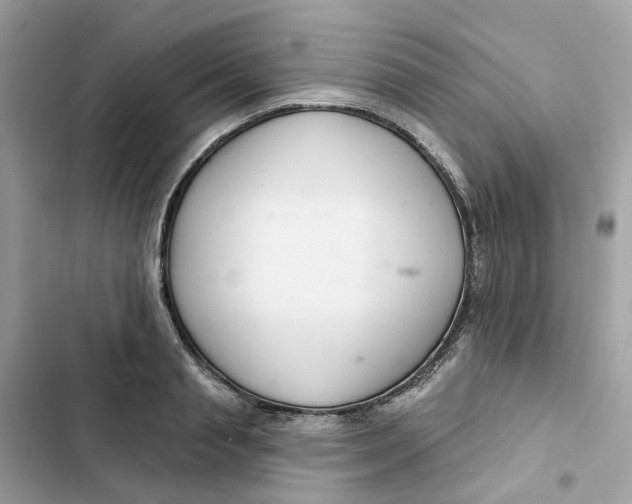 X0000103280845200809191804