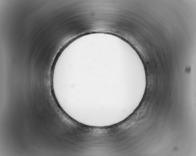 X0000103280848200809191804