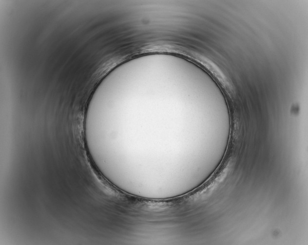 X0000103280849200809191804