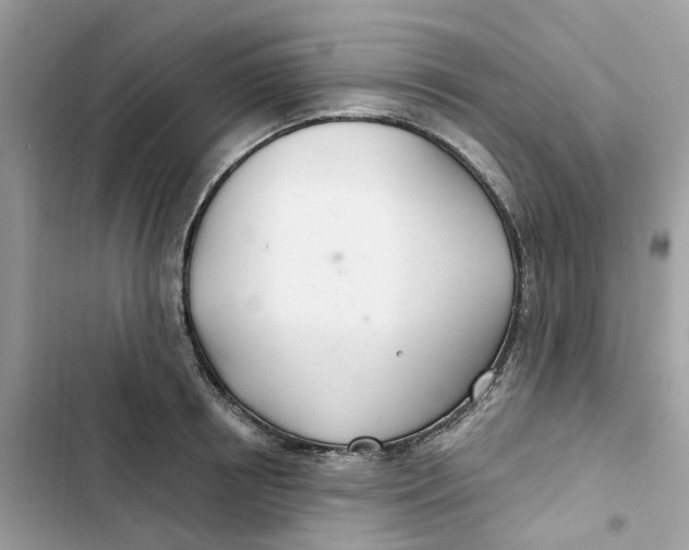 X0000103280850200809191804