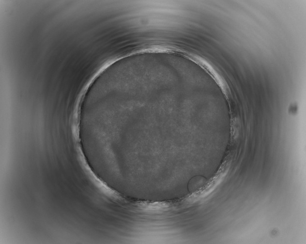 X0000103280851200809191804