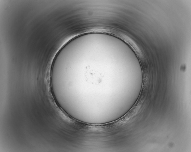 X0000103280852200809191804