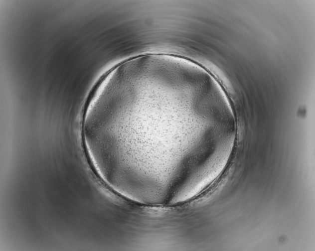 X0000103280854200809191804