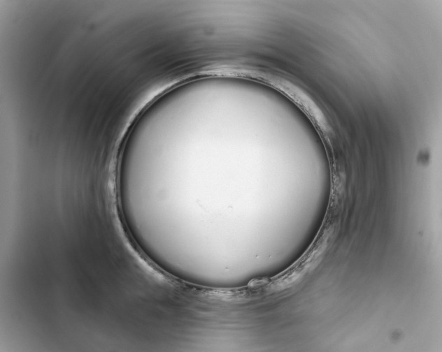 X0000103280855200809191804