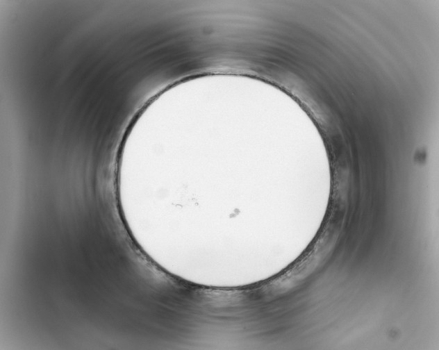 X0000103280856200809191804