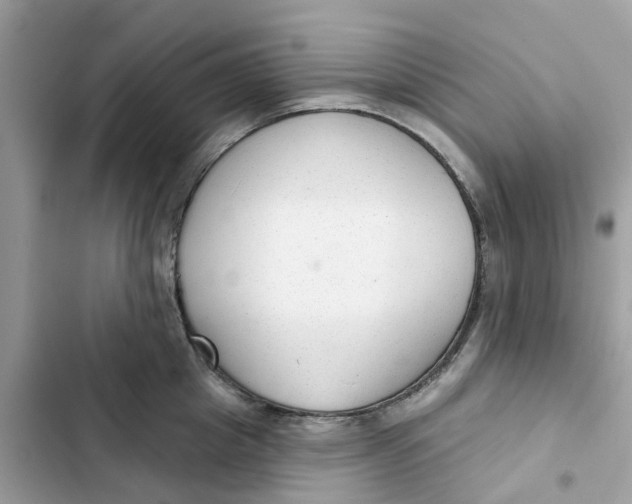 X0000103280857200809191804