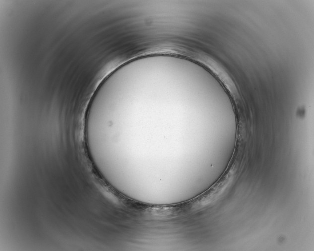 X0000103280858200809191804