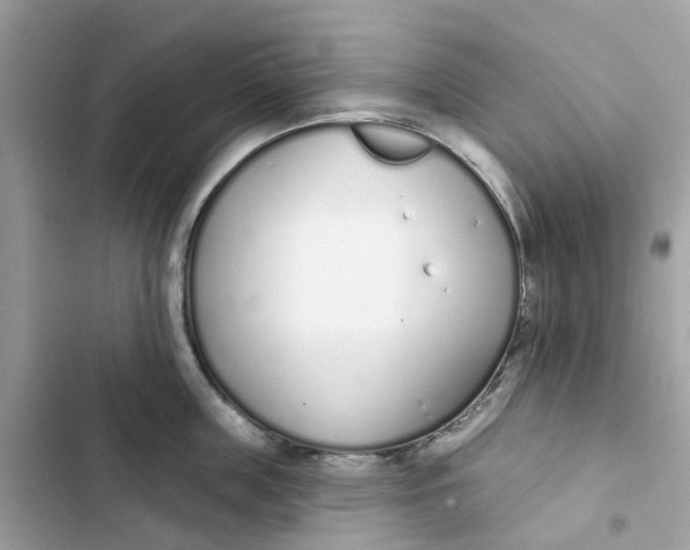 X0000103280859200809191804