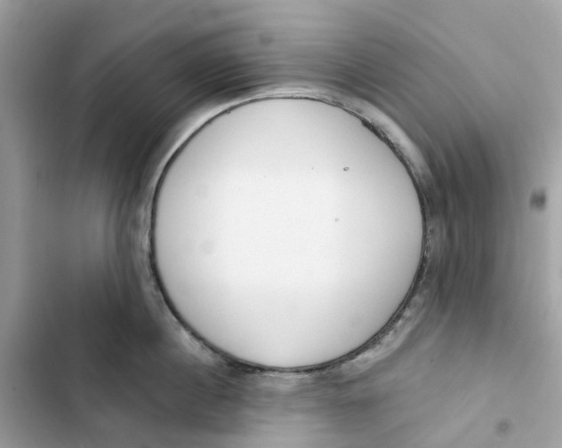 X0000103280860200809191804