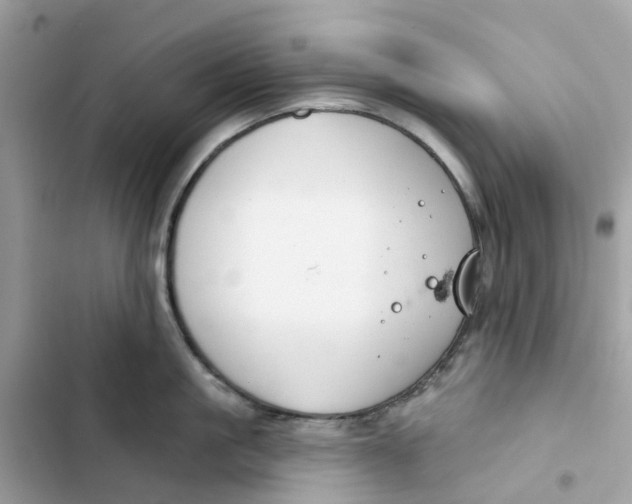 X0000103280861200809191804