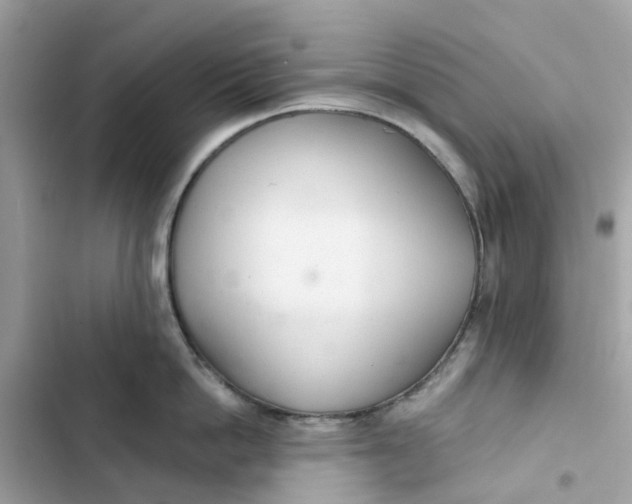 X0000103280862200809191804