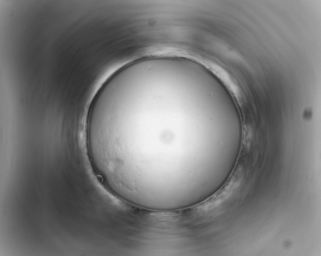 X0000103280863200809191804