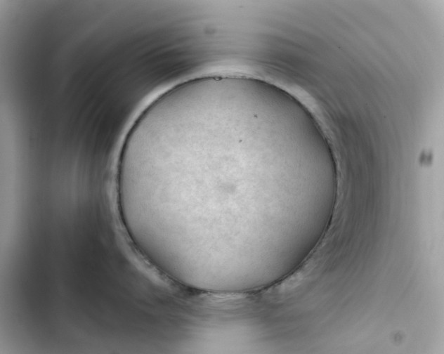 X0000103280864200809191804