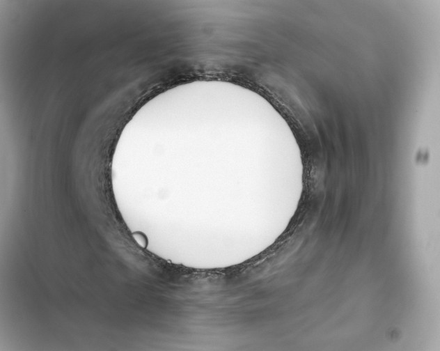 X0000103280865200809191804