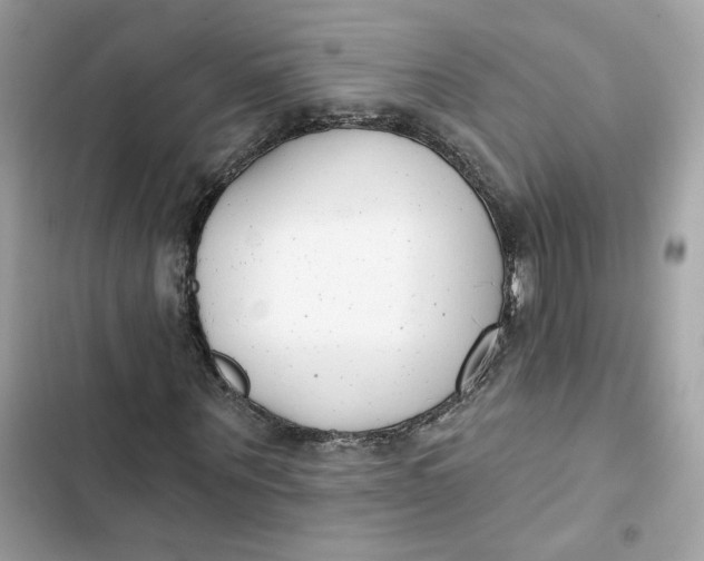 X0000103280867200809191804