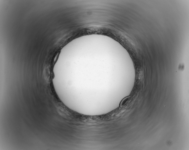 X0000103280868200809191804