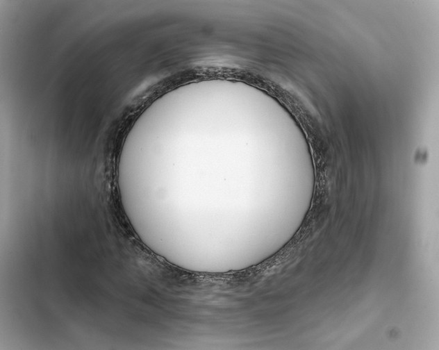 X0000103280870200809191804