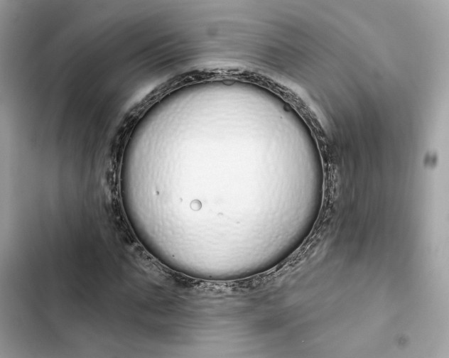 X0000103280871200809191804