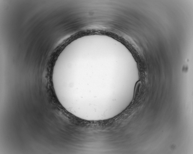 X0000103280872200809191804