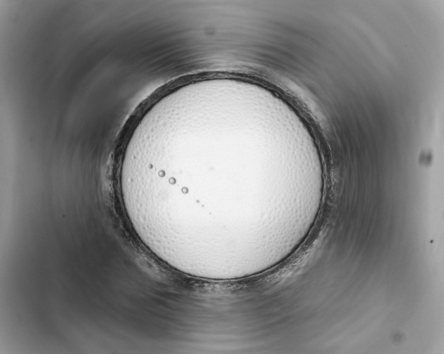 X0000103280875200809191804