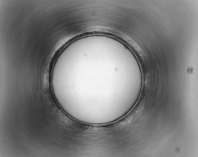 X0000103280877200809191804