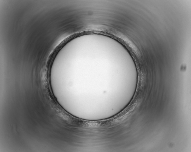 X0000103280878200809191804