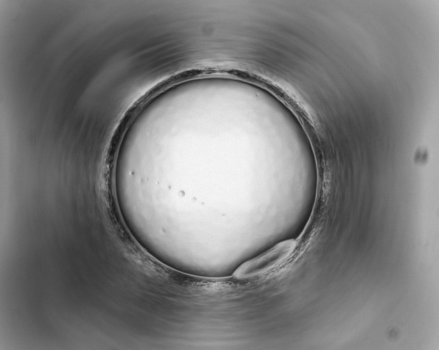 X0000103280879200809191804