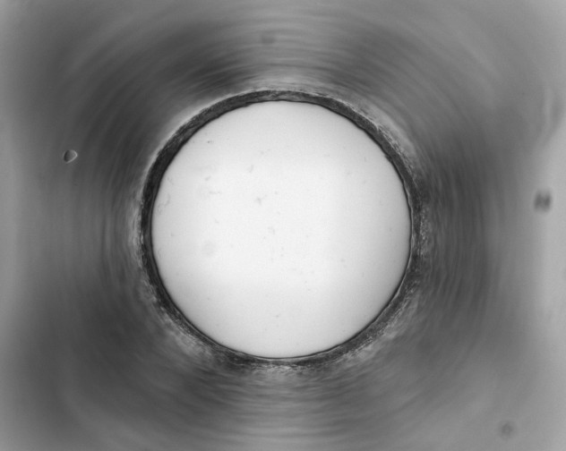 X0000103280880200809191803