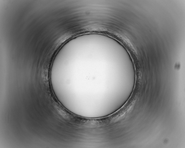 X0000103280881200809191803