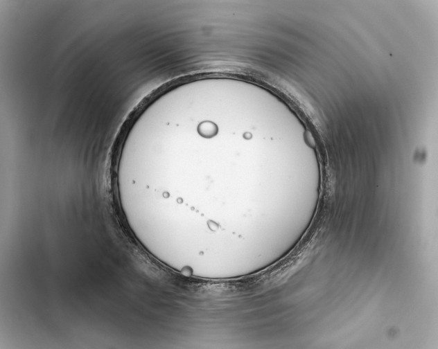 X0000103280883200809191803