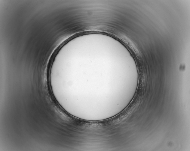 X0000103280884200809191803